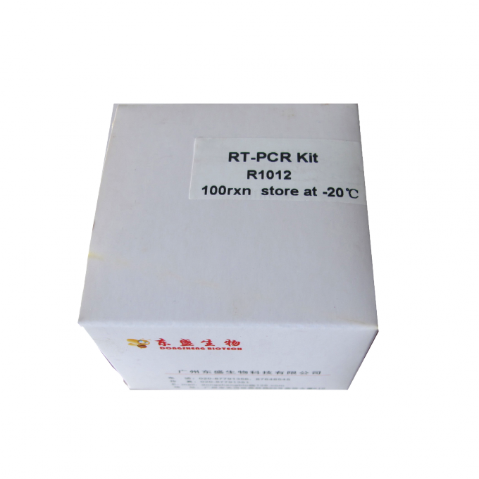 M-Mlvrückseiten-Transkriptase Funktelegrafie-PCR