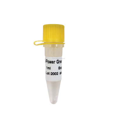 Energie 2X grüne Realzeit-PCR-Mischung Mischung 1 ml QPCR farblos