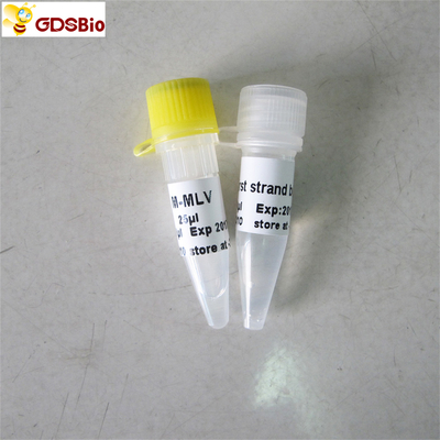 M-Mlvrückseiten-Transkriptase PCR-Reagens-Funktelegrafie PCR R1041/R1042