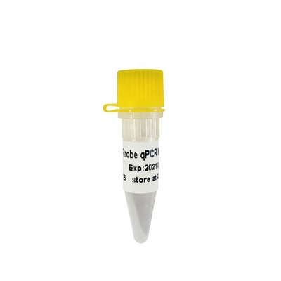 Sonde QPCR GDSBio HS Realzeit-PCR-Mischung P2201 P2202