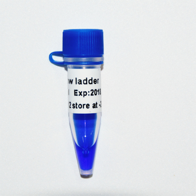 Niedriger Leiter-DNA-Marker M1031 (50μg) /M1032 (50μg×5)