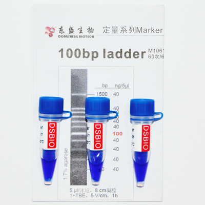 DNA-Marker der Leiter-100bp M1061 (50μg) /M1062 (50μg×5)