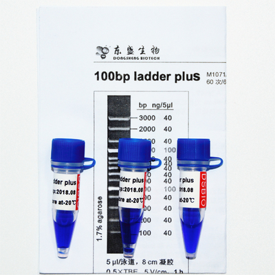 Plusdna-marker der Leiter-100bp M1071 (50μg) /M1072 (50μg×5)