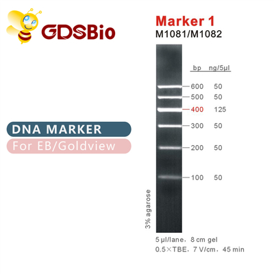 Markierung 1 DNA-Leiter M1081 (50μg) /M1082 (50μg×5)