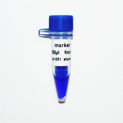 Markierung 1 DNA-Leiter M1081 (50μg) /M1082 (50μg×5)