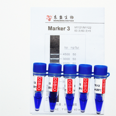 Markierung 3 DNA-Leiter M1121 (50μg) /M1122 (5×50μg)