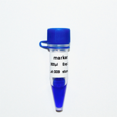 Markierung 12 DNA-Leiter M1141 (50μg) /M1142 (5×50μg)