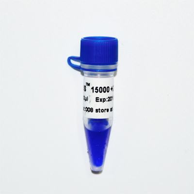 DNA-Marker-Leiter M1241 (50μg) /M1242 (5×50μg) DS 15000+2000