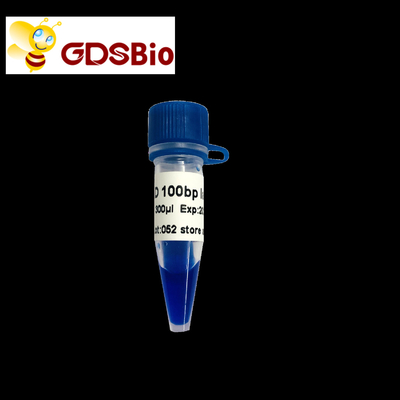 der Leiter-100bp Vorbereitungen Gel-Elektrophorese-des DNA-Marker-60