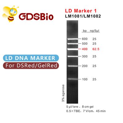 Blaue DNA-Marker-Elektrophorese Auftritt LD-Markierungs-1