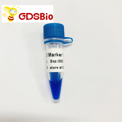 Blaue DNA-Marker-Elektrophorese Auftritt LD-Markierungs-1