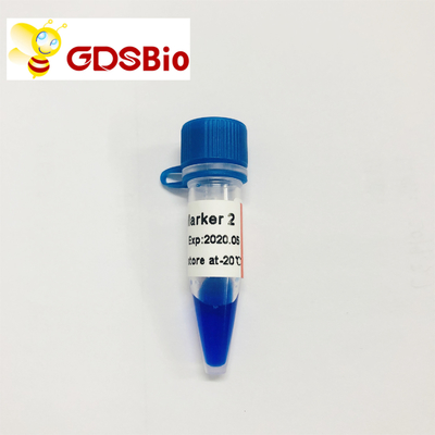 Ld-Markierung 2 60 Vorbereitungs-DNA-Marker-Elektrophorese GDSBio