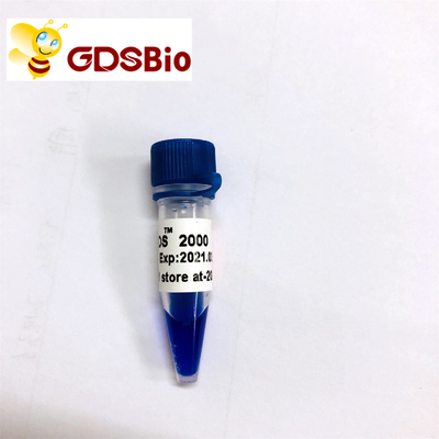 DNA-Marker-Gel-Elektrophorese 2000 hoher Reinheitsgrad-Reagenzien LD DS 60 Vorbereitungen