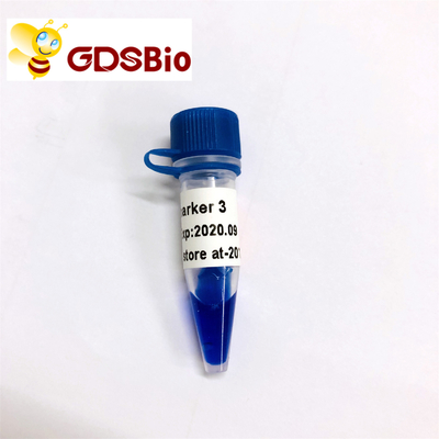 Ld-Markierung 3 DNA-Leiter-Elektrophorese 60 Vorbereitungs-hoher Reinheitsgrad-Reagenzien