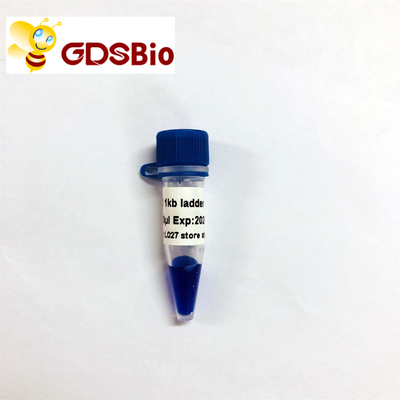 DNA-Marker LD 1kb Leiter-1000bp LM1181 (50 Vorbereitungen) /LM1182 (50 preps×5)