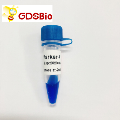 Ld-Markierung 4 DNA-Leiter LM1231 (50 Vorbereitungen) /LM1232 (50 preps×5)