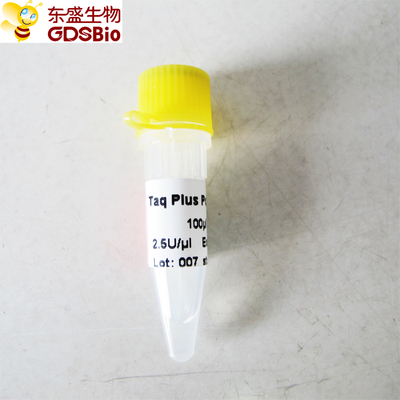 Blauer Puffer Taq plus DNA-Polymerase für PCR P1031 P1032 P1033 P1034