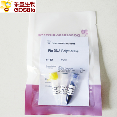 Pfu DNA-Polymerase für PCR P1021 P1022 P1023 P1024