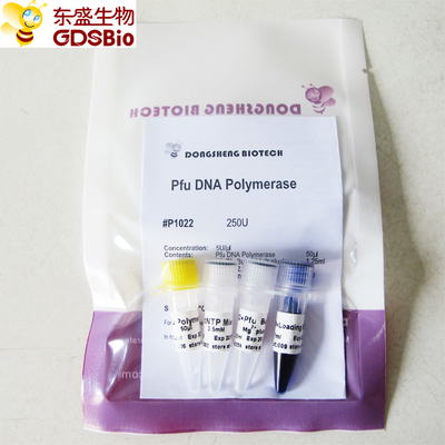 Pfu DNA-Polymerase für PCR P1021 P1022 P1023 P1024