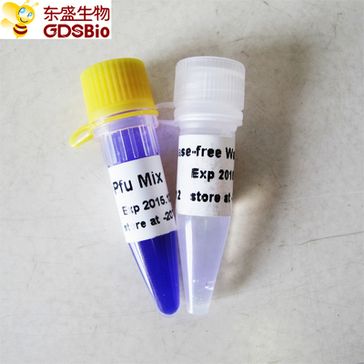 DNA-RNS Nukleinsäure PCR-Entdeckung Pfu PCR-Vorlagenmischung P2021 1ml