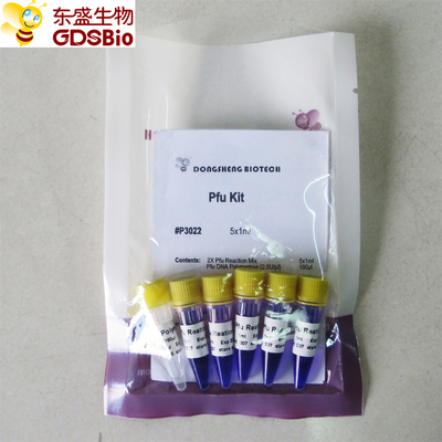 Vorlagenmischung P3022 1ml×5 Nukleinsäure PCR-Entdeckung Pfu