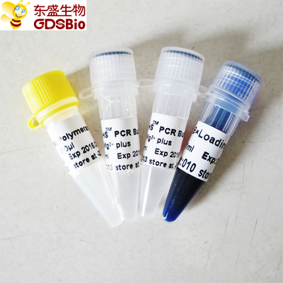 HS-Hotstart Taq DNA-Polymerase PCR-Reagens-hohe Besonderheit P1081 P1082 P1083 P1084