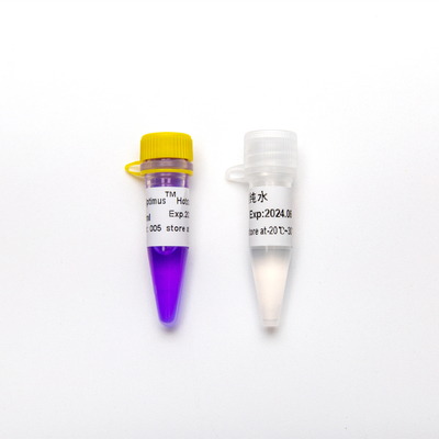 Heißstart-Polymerase 5ml Optimus Taq PCR-Vorlagenmischung P2042