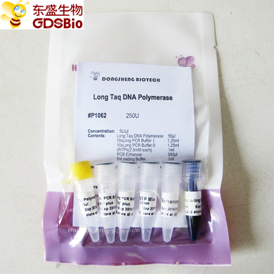 Lange Taq DNA-Polymerase #P1062 250U