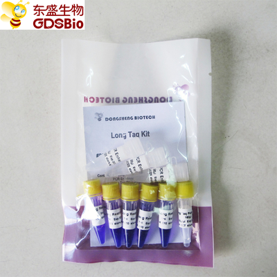 Lange Taq-Ausrüstung PCR-Vorlagenmischung #P3062 5ml