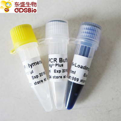 Taq DNA-Polymerase P1011 500U PCR-Hauptmischungs-blauer Puffer