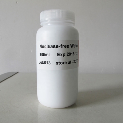 Molekularbiologie-Grad-Wasser-Nuklease freies P9023 500ml