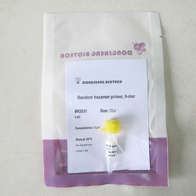 Gelegentlicher Hexamer farbloser Auftritt R2031 20uL Zündkapsel-6-Mer