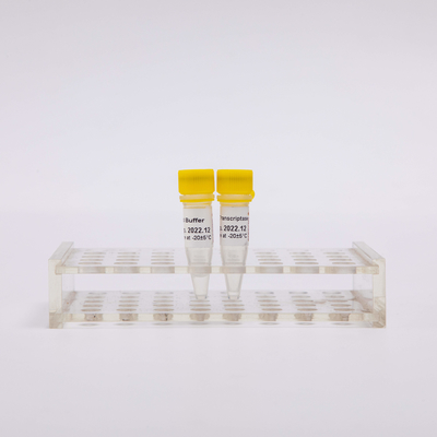 Goldfunktelegraphie PCR-Rückseite Transkriptase R3001 2000U R3002 10000U