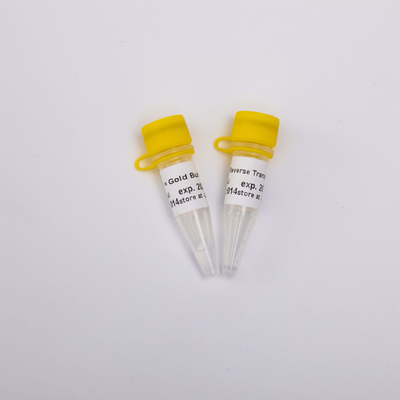 Goldfunktelegraphie PCR-Rückseite Transkriptase R3001 2000U R3002 10000U