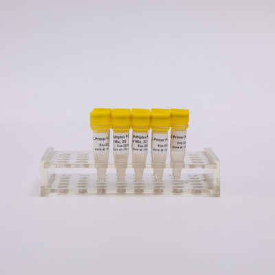 ARTIC SARS-CoV-2 NGS Bibliotheks-Bau-Multiplex PCR-Ausrüstung