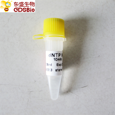 dNTP mischen für PCR-qPCR P9012 0.5ml