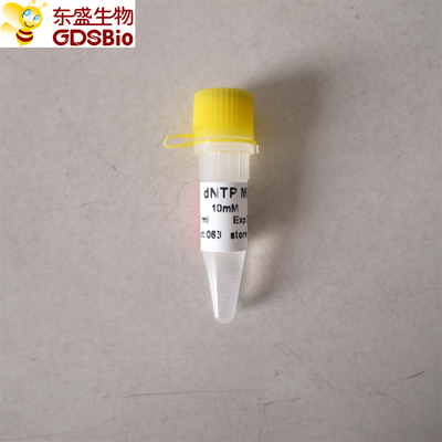dNTP mischen für PCR-qPCR P9013 1ml