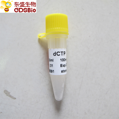 dCTP #P9091 1 ml PCR qPCR