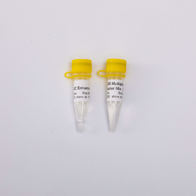1ml 2X NGS Multiplex Reaktionen GDSBio PCR-Vorlagenmischungs-40