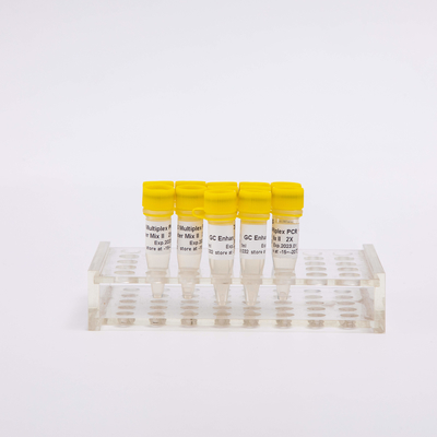 NGS-Multiplex 2X Reaktionen PCR-Vorlagenmischungs-400 farblos