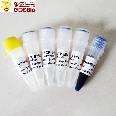 GDSBio Taq DNA-Polymerase für PCR-Vorlagenmischung