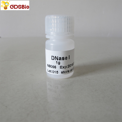 DNAse pulverisiere ich in-vitrodiagnoseprodukte N9066 1g
