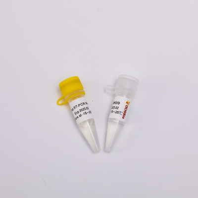 50 Rückseiten-Transkriptase PCR-Reagenzien Rxn 2X eine Schritt-Hauptmischung P1001