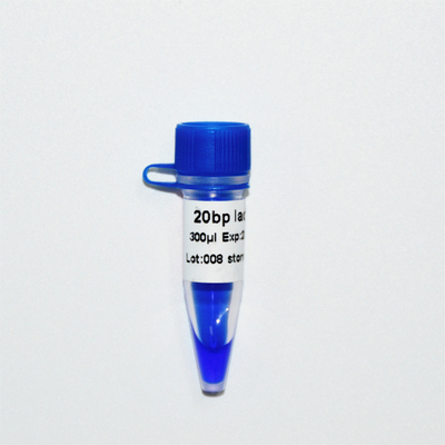 DNA-Marker-Elektrophorese GDSBio der Leiter-20bp blauer Auftritt