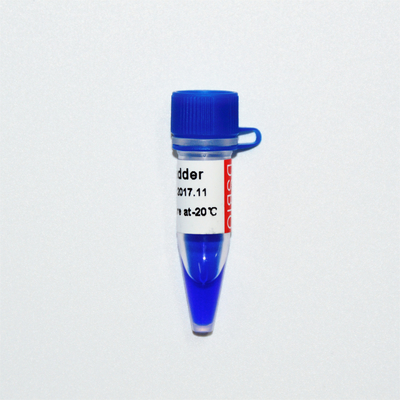 DNA-Marker-Elektrophorese GDSBio der Leiter-20bp blauer Auftritt