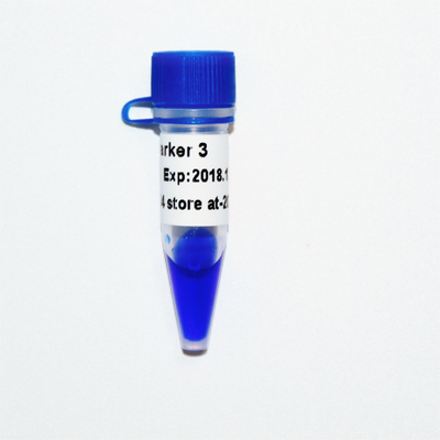 DNA-Marker-Gel-Elektrophorese-blauer Auftritt GDSBio-Markierungs-3