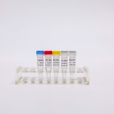 Funktelegrafie PCR-Mischung für Rück-Transkriptase PCR-Reagenzien R1031 100 Rxns