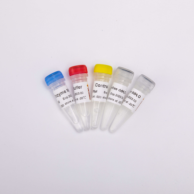 Funktelegrafie PCR-Mischung für Rück-Transkriptase PCR-Reagenzien R1031 100 Rxns