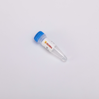 Hitzelabile Vorlagenmischung für Realzeit-effektives Antiverschmutzungs-Enzym PCR UDG in hohem Grade