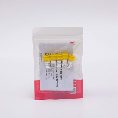 1ml 5ml 10ml Virennukleinsäure-Extraktion Kit Clear Liquid